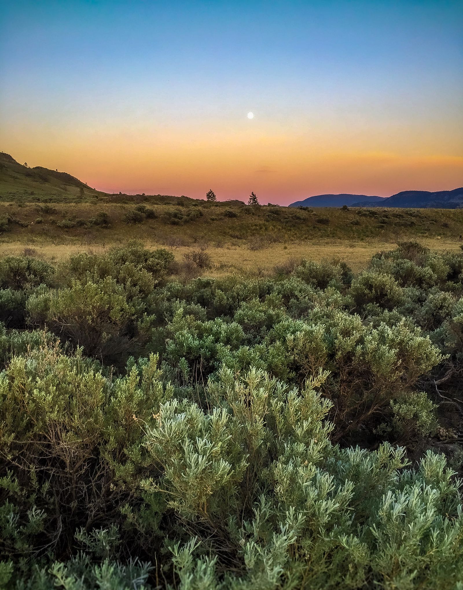 Dusk over the grasslands
