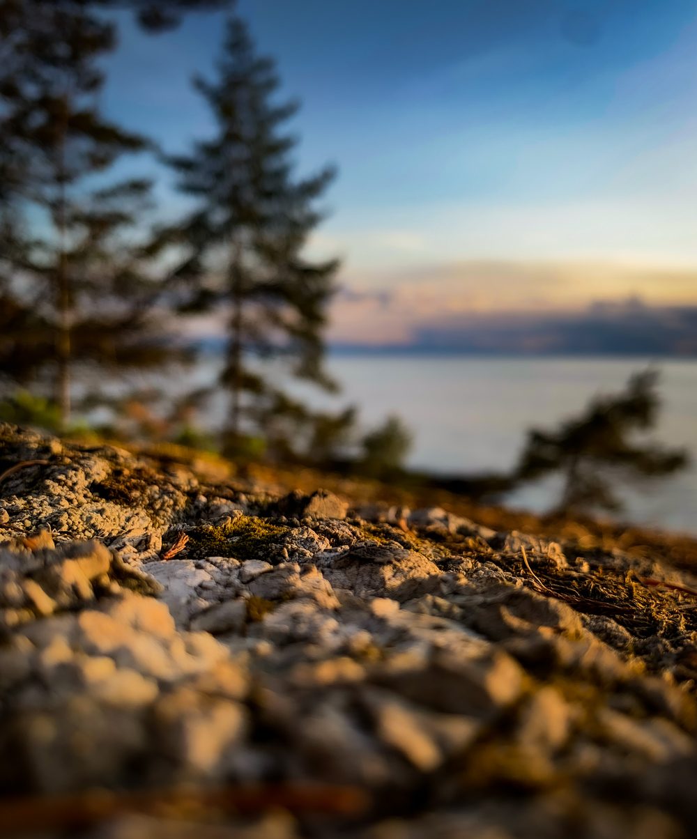 Golden light on a rocky shoreline